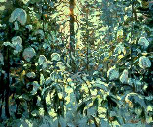WINTER SUNLIGHT ON PINES, oil on canvas, 25 x 29.5 inches, copyright ©1994 