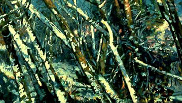 WATER BIRCHES IN WINTER, oil on canvas, 37 x 63 inches, copyright ©1994 